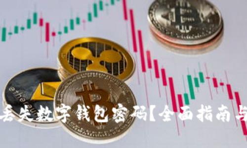 如何找回丢失数字钱包密码？全面指南与安全建议