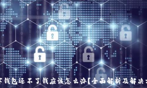  

数字钱包还不了钱应该怎么办？全面解析及解决方案
