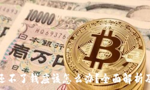  

数字钱包还不了钱应该怎么办？全面解析及解决方案
