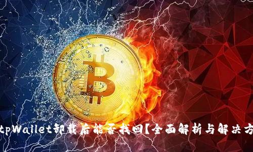 : tpWallet卸载后能否找回？全面解析与解决方案