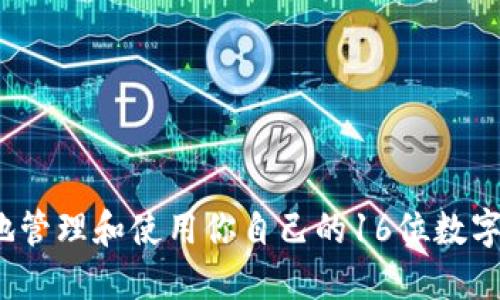 如何安全地管理和使用你自己的16位数字钱包编号？