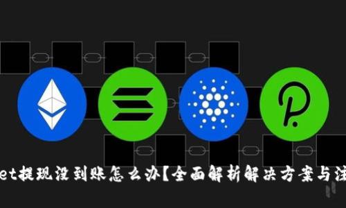 tpWallet提现没到账怎么办？全面解析解决方案与注意事项