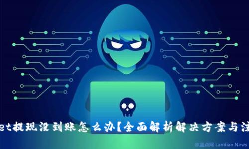 tpWallet提现没到账怎么办？全面解析解决方案与注意事项