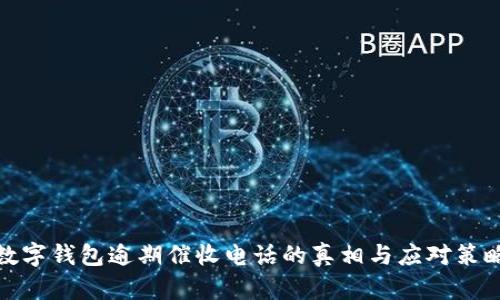 数字钱包逾期催收电话的真相与应对策略