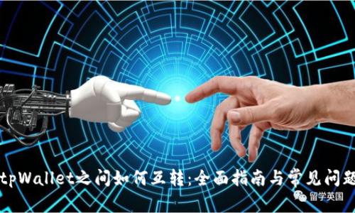 不同tpWallet之间如何互转：全面指南与常见问题解答