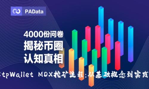 详解tpWallet MDX挖矿流程：从基础概念到实践指南