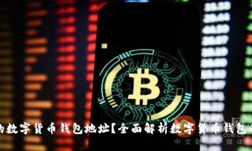 如何找到您的数字货币钱包地址？全面解析数字货币钱包的使用与管理