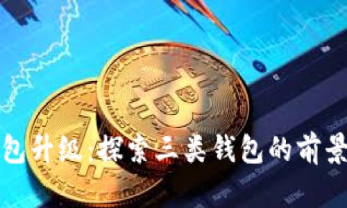 数字钱包升级：探索三类钱包的前景与潜力