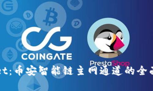 深入解析tpWallet：币安智能链主网通道的全面剖析与应用评估