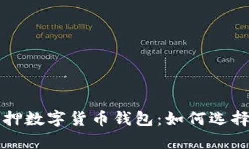 全面解析质押数字货币钱包：如何选择与使用指南