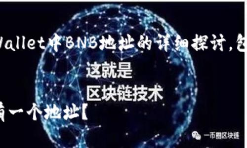 根据你的提问，我将为你提供一个关于tpWallet中BNB地址的详细探讨，包括内容结构、相关关键词以及可能的问题。


tpWallet中BNB地址的全面解析：是否只有一个地址？
