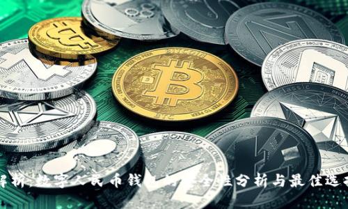 全面解析：数字人民币钱包的安全性分析与最佳选择指南
