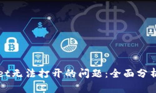 解决tpWallet无法打开的问题：全面分析与实用技巧