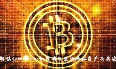 全面解读tpWallet：如何有效查询地址资产及其安全