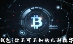 探秘常用加密钱包：你不可不知的几种数字货币