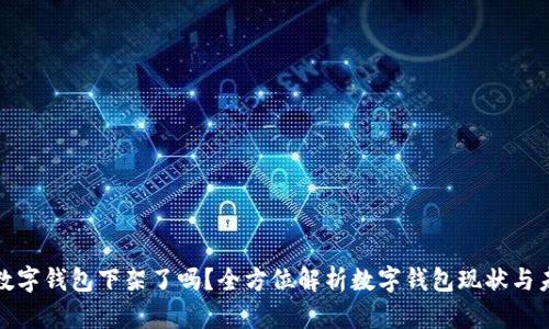 : 数字钱包下架了吗？全方位解析数字钱包现状与未来