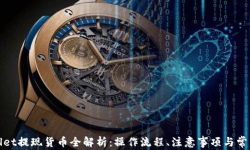 
tpWallet提现货币全解析：操作流程、注意事项与常见问题