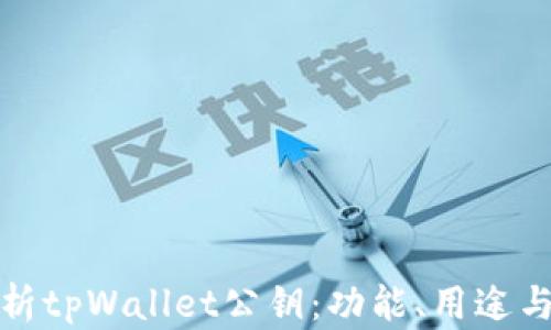 
全面解析tpWallet公钥：功能、用途与安全性