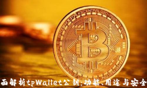 
全面解析tpWallet公钥：功能、用途与安全性