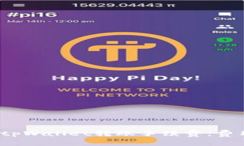 全面解析tpWallet转账手续费：费用是多少？