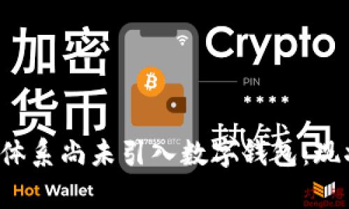 探讨为何社保体系尚未引入数字钱包：现状、挑战与前景