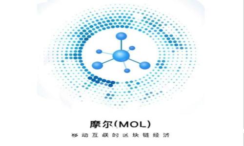 从传统支付到未来：全面解析数字人民币钱包的切换与应用