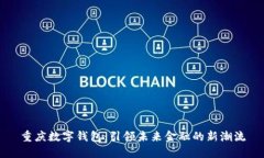 重庆数字钱包：引领未来金融的新潮流