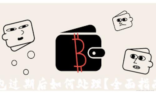 
tpWallet钱包过期后如何处理？全面指南与解决方案