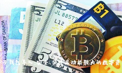 全面解读TP子钱包导入：安全、便捷且功能强大的数字资产管理方案