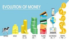 数字尾巴：钱包品牌选择及搭配技巧全面指南
