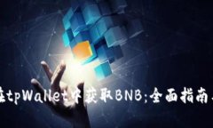 如何在tpWallet中获取BNB：全面指南与技巧