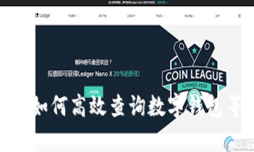 全面解析：如何高效查询数字钱包等级信息？