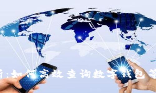 全面解析：如何高效查询数字钱包等级信息？