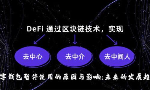 数字钱包暂停使用的原因与影响：未来的发展趋势
