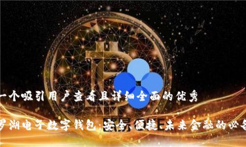 思考一个吸引用户查看且详细全面的优秀

深圳罗湖电子数字钱包：安全、便捷、未来金融的必备工具