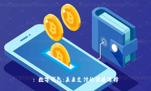 : 数字钱包：未来支付的便捷选择