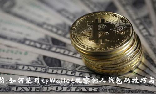  全面解析：如何使用tpWallet观察他人钱包的技巧与注意事项
