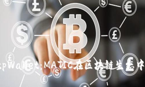  全面解析tpWallet：MATIC在区块链生态中的核心角色