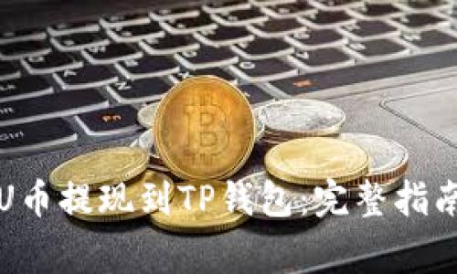 如何将欧易U币提现到TP钱包：完整指南与注意事项