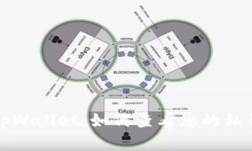 全面解读tpWallet：如何查看您的私钥和助记词
