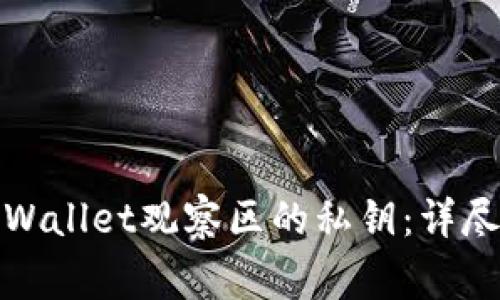 如何安全导出tpWallet观察区的私钥：详尽步骤与注意事项