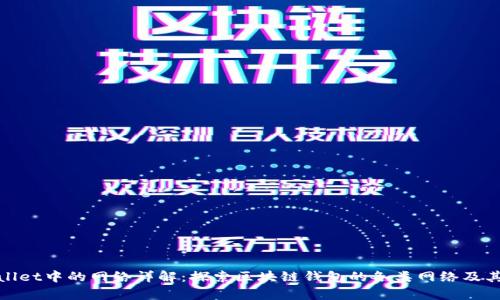 tpWallet中的网络详解：探索区块链钱包的各类网络及其优势