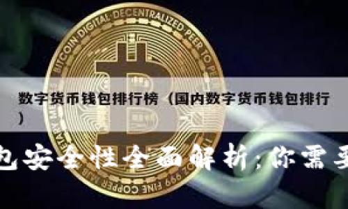 个人数字钱包安全性全面解析：你需要知道的一切