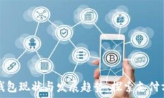   埃及数字钱包现状与发展趋势：探索支付方式的