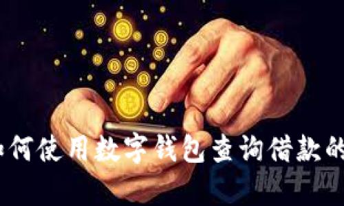 全面解析：如何使用数字钱包查询借款的步骤与技巧