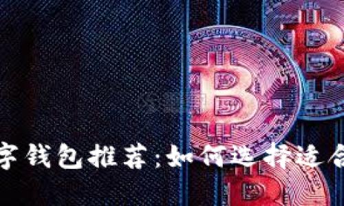 2023年最佳数字钱包推荐：如何选择适合你的数字钱包？
