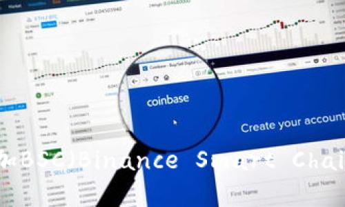 如何在tpWallet电脑版中添加BSC（Binance Smart Chain）网络：详细步骤与实用指南