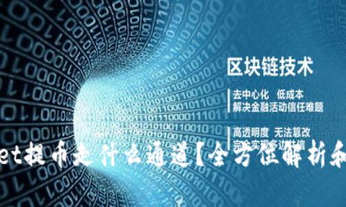 : tpWallet提币走什么通道？全方位解析和操作指南