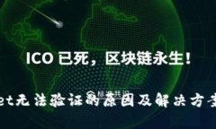tpWallet无法验证的原因及解决方案全解析
