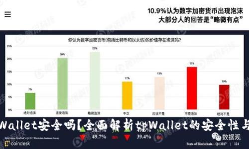 提币到tpWallet安全吗？全面解析tpWallet的安全性与使用攻略